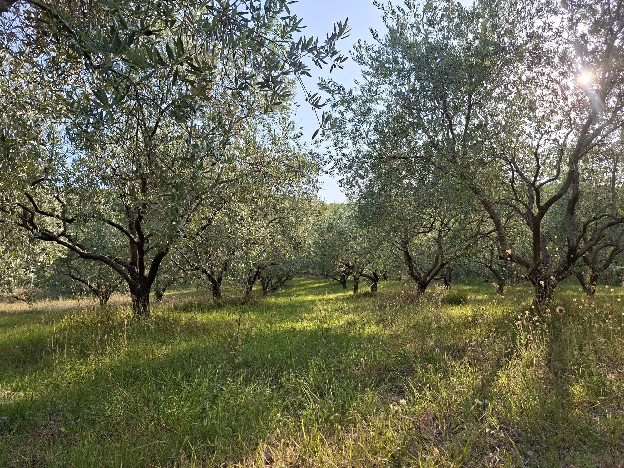 Zemljište – 3462 m² – Ždrelac- dva građevinska zemljišta 75 E/m2 – Zadar